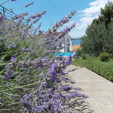 Goja Apartament