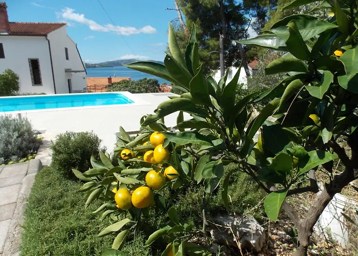 Goja Trogir