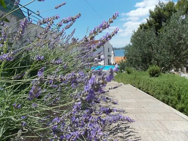 Goja Lejlighed